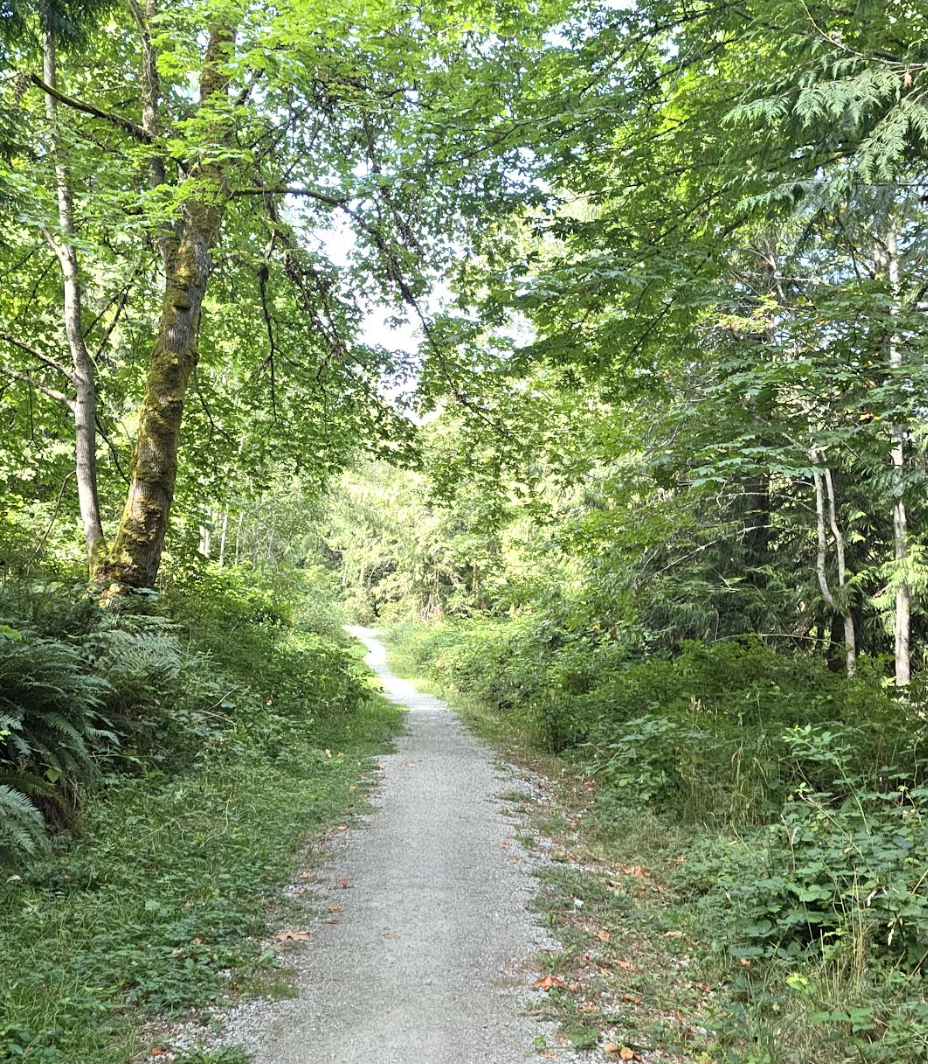 Clip on Rear view mirror for your glasses